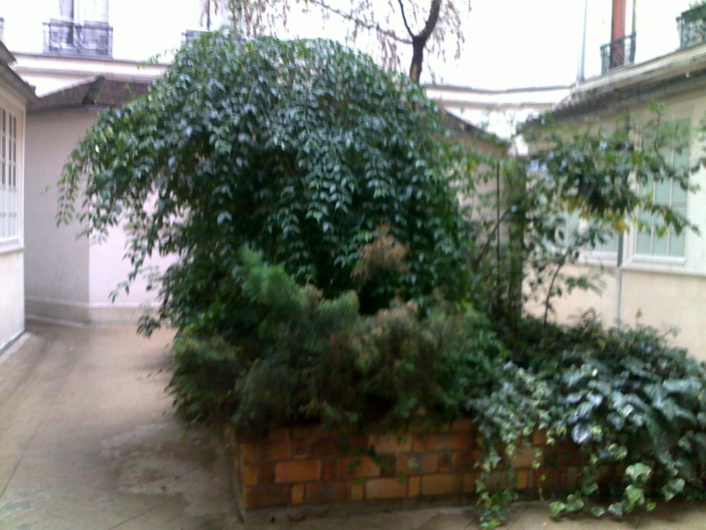 PARIS 11지역·31m²·아파트·가구·장기만 가능[프랑스 부동산,프랑스 아파트 매매,파리 집 구하기,프랑스 임대 부동산,프랑스 부동산 투자,프랑스 아파트 임대 방법,파리 집 계약 절차,프랑스 부동산 세금 정보,프랑스 부동산 중개인 추천,프랑스 주택 임대 시세,프랑스 주택 관리 서비스,프랑스 아파트 월세,프랑스 단기 임대,파리 집 임대,프랑스 월세 계약,프랑스 월세 시세,파리 임대 집 추천,프랑스 임대,프랑스 월세 ,프랑스 부동산 임대 서비스,프랑스 부동산 중개,프랑스 부동산 에이전시,파리 부동산 중개인,프랑스 부동산 매물,파리 부동산 에이전시 추천,파리 현지 부동산 상담,파리 부동산 거래 대행,프랑스 부동산 시세 조회,프랑스 부동산 서비스,파리 부동산 에이전시,프랑스 부동산 전문가,프랑스 부동산 거래 팁,프랑스 주택 중개 플랫폼,파리 유학생 ,프랑스 유학 집 구하기,파리 학생 기숙사 임대,프랑스 유학생 월세 아파트,프랑스 유학 임대 계약,파리 유학 생활 집 구하기,프랑스 유학생 쉐어하우스,프랑스 가족용 주택 매매,파리 가족 아파트 임대,프랑스 어린이 학교 근처 집,프랑스 이민 주택 ,맞춤형 부동산 서비스,파리 단기 임대 아파트,프랑스 출장용 주택,파리 월 단위 임대]