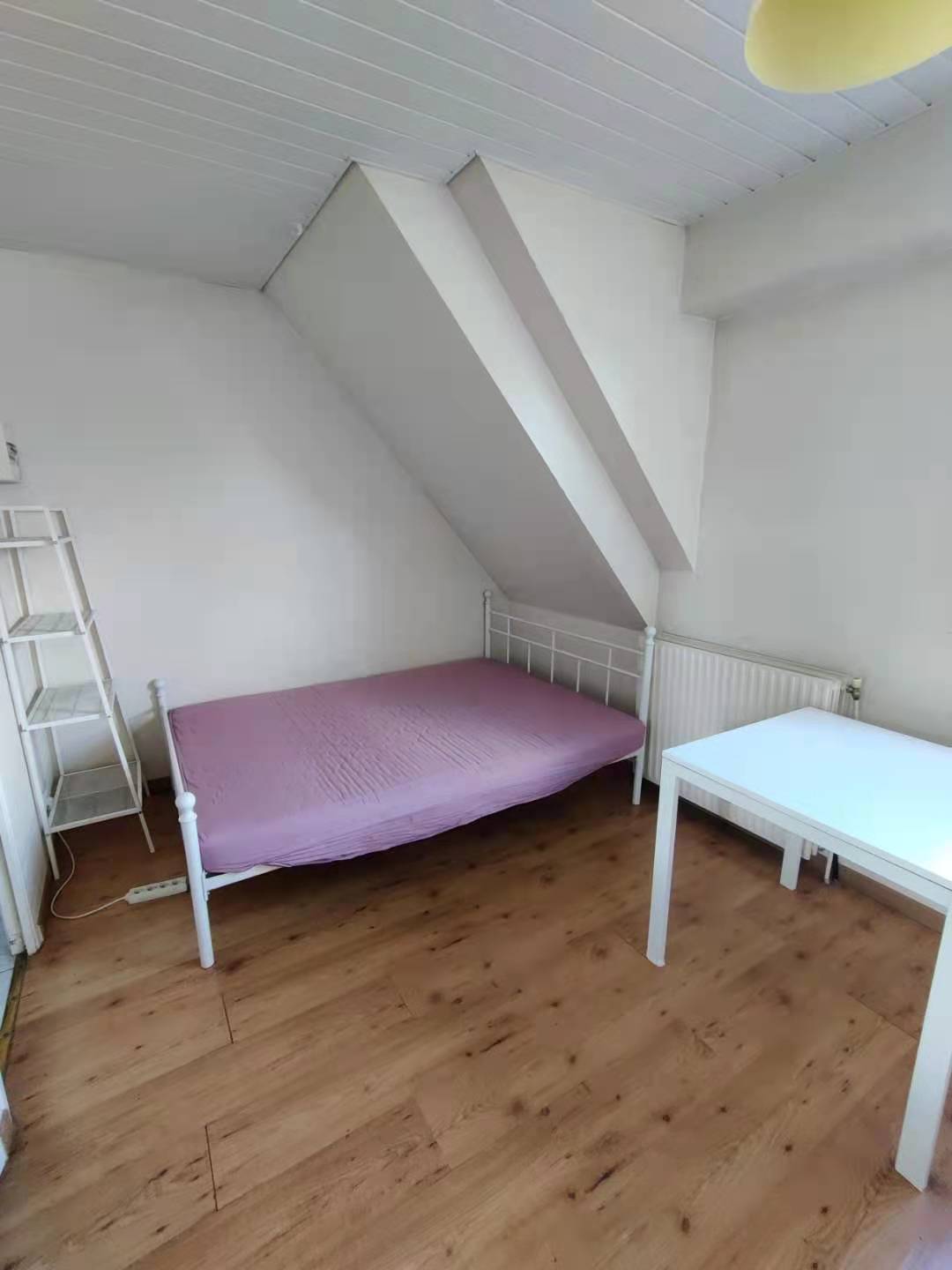 Villejuif 94e·20m²·F1·Studio·With furniture[Paris Rental]