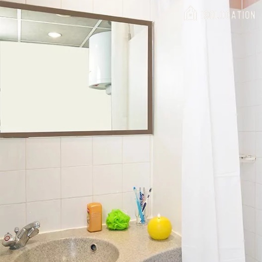 Victor Hugo[Paris Rental]
