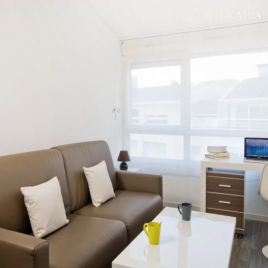 Léonard de Vinci[Paris Rental]