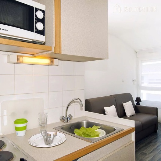 Léonard de Vinci[Paris Rental]