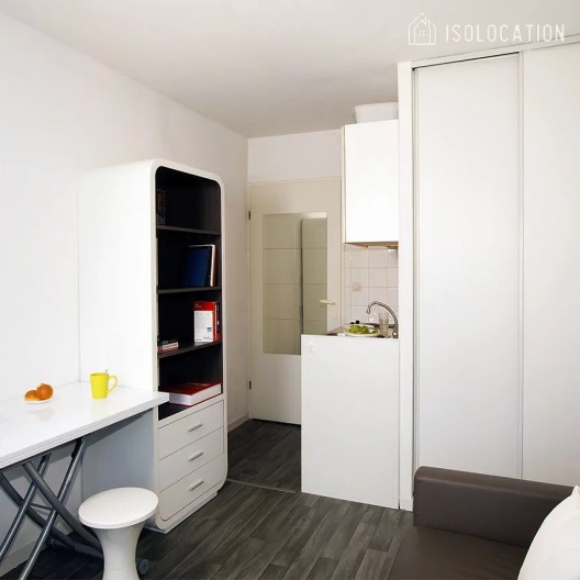 Léonard de Vinci[Paris Rental]