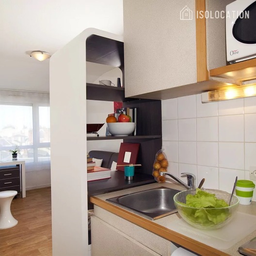 Léonard de Vinci[Paris Rental]