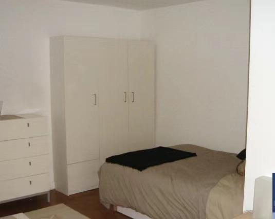 PARIS 15区·28平·studio·有家具·仅长租[法国巴黎租房]