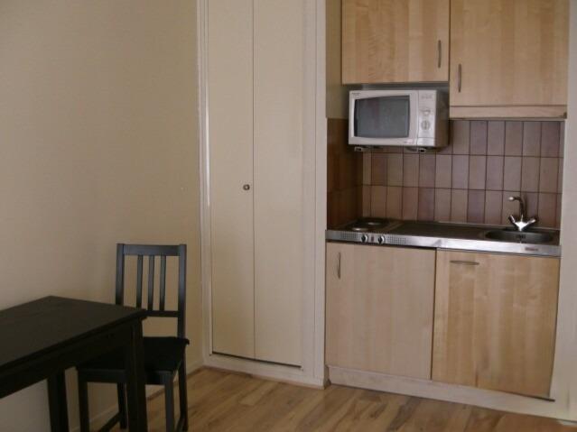 PARIS 15e·22m²·studio·With furniture[Paris Rental]