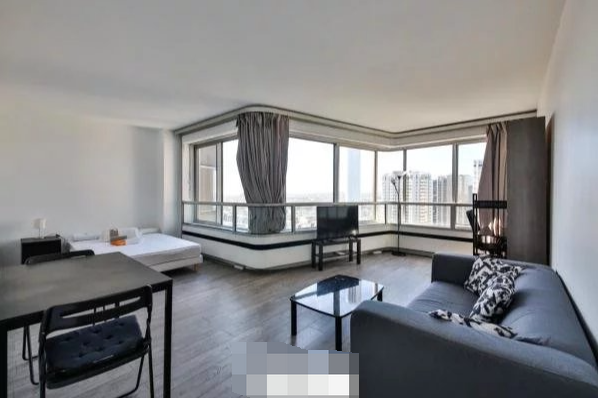 PARIS 15e·38m²·studio·With furniture[Paris Rental]