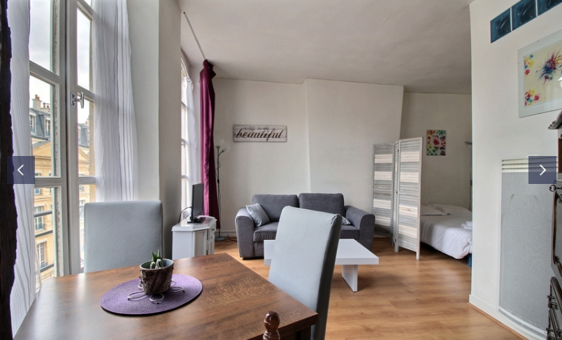 PARIS 1e·33m²·studio·With furniture[Paris Rental]