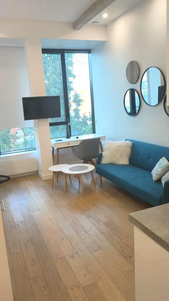 PARIS 13e·23m²·studio·With furniture[Paris Rental]