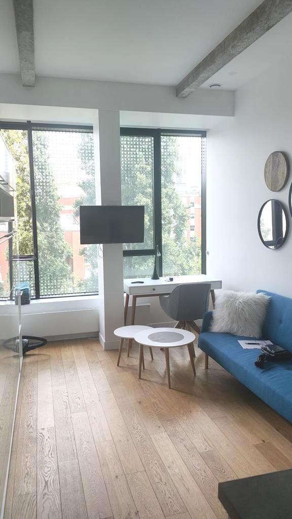 PARIS 13e·23m²·studio·With furniture[Paris Rental]