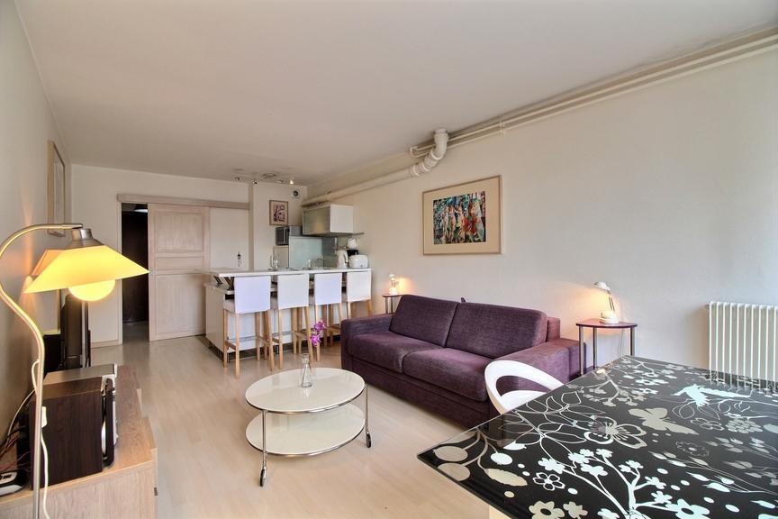 PARIS 15e·30m²·studio·With furniture[Paris Rental]