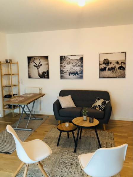 PARIS 15e·31m²·studio·With furniture[Paris Rental]