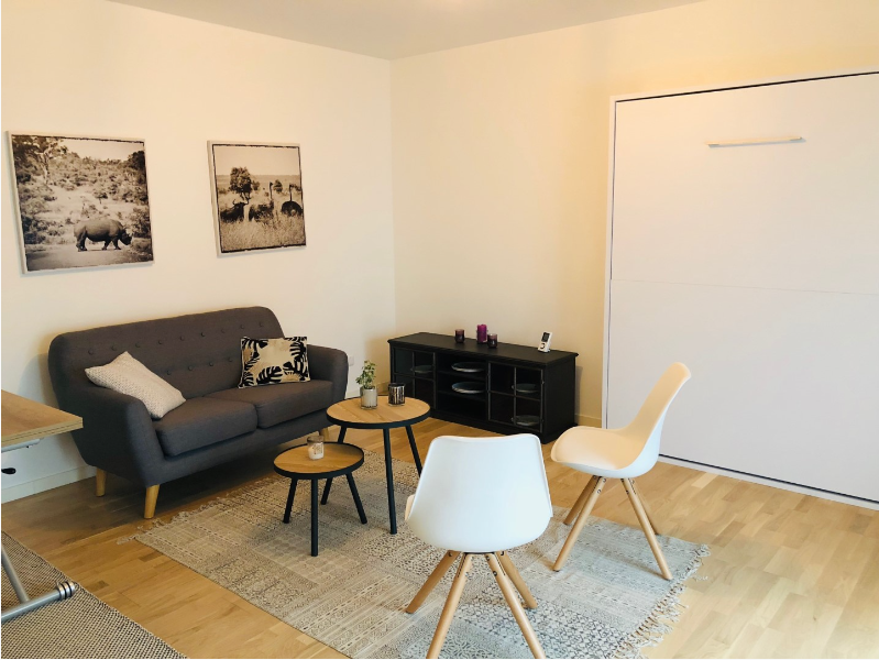 PARIS 15e·31m²·studio·With furniture[Paris Rental]