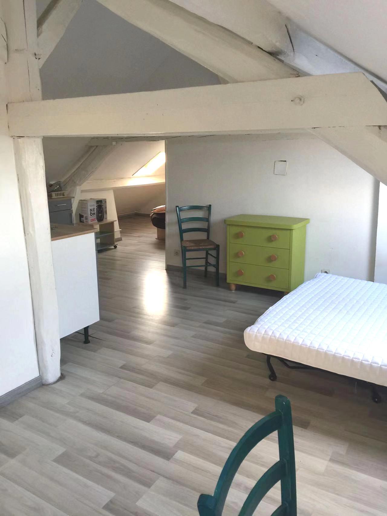 Fontainebleau 77e·45m²·studio·With furniture[Paris Rental]