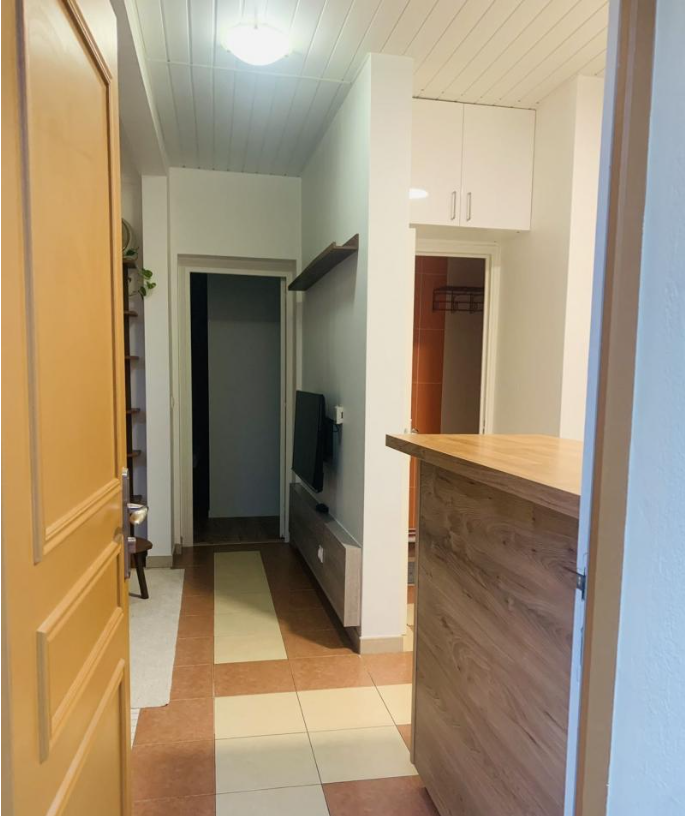 Villejuif 94지역·40m²·아파트·가구[프랑스 파리 아파트 임대]