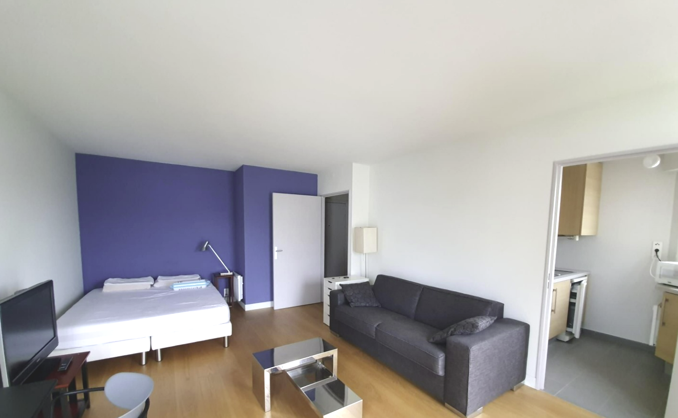 PARIS 15区·33平·studio·有家具[法国巴黎租房]
