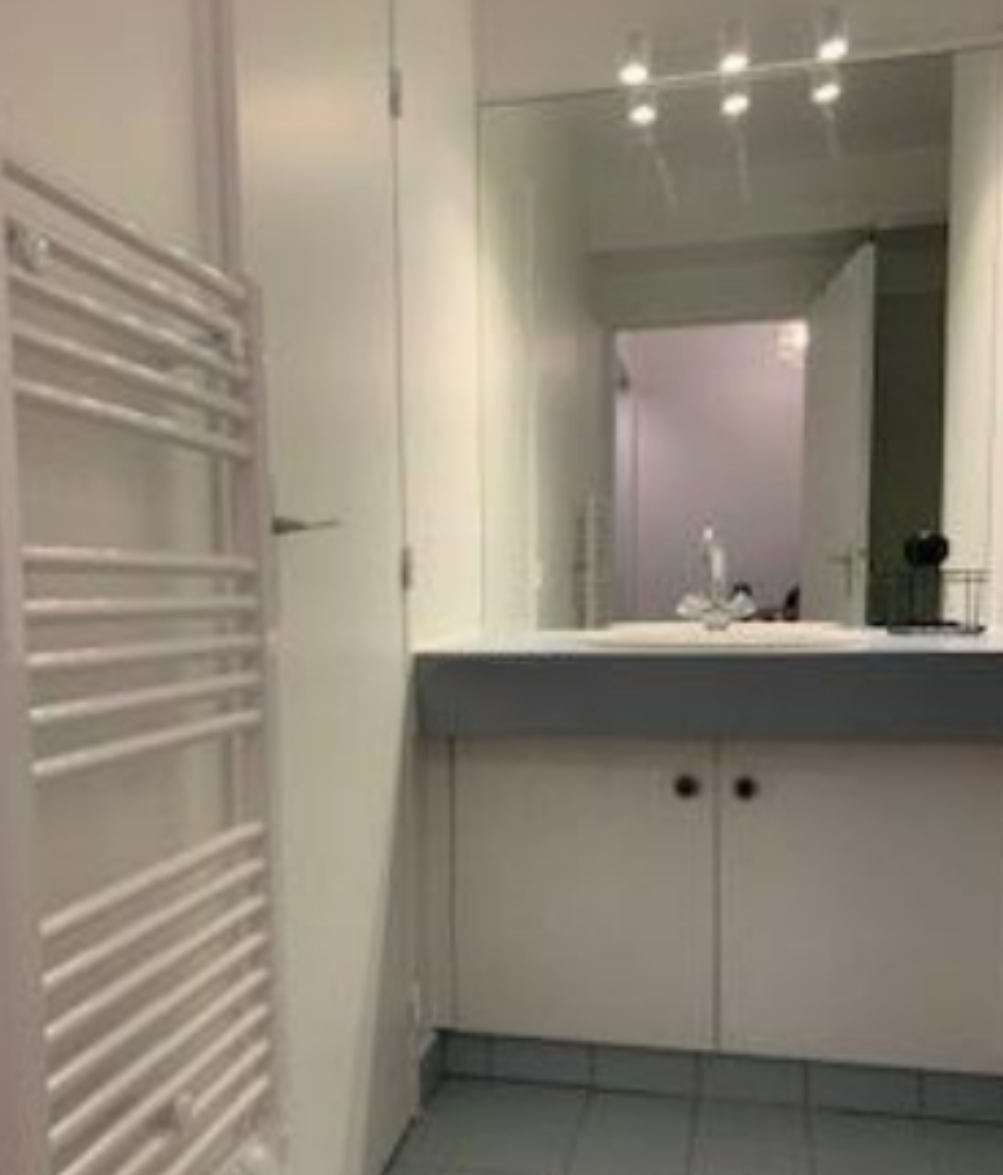 Issy-les-Moulineaux 92e·19.89m²·studio·With furniture[Paris Rental]