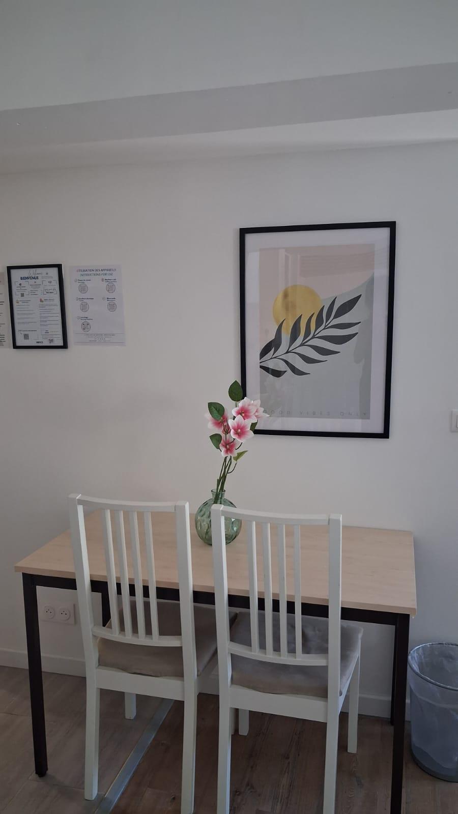 Vitry-sur-Seine 94e·25m²·studio·With furniture[Paris Rental]