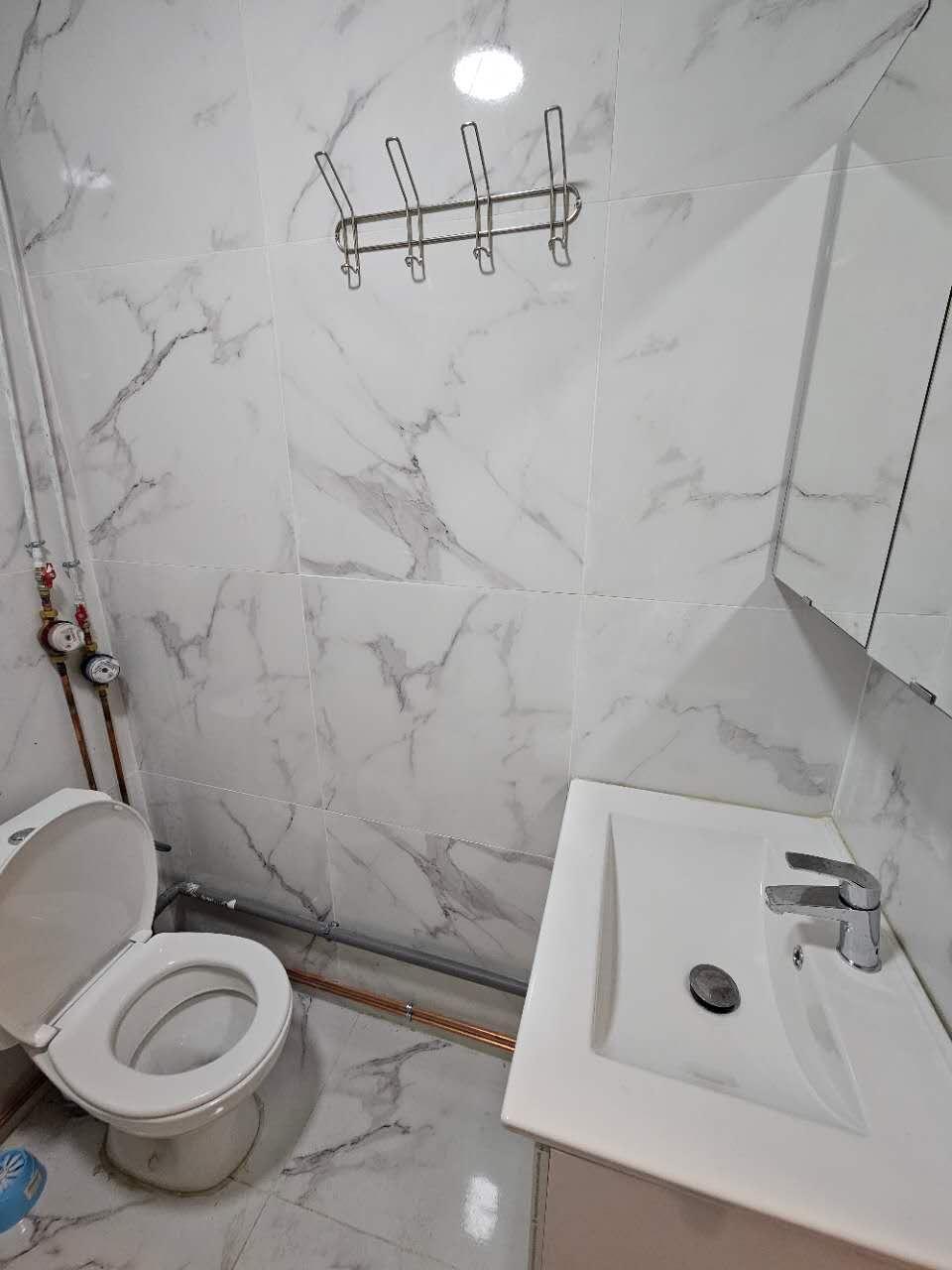 Vitry-sur-Seine 94e·20m²·studio·With furniture[Paris Rental]